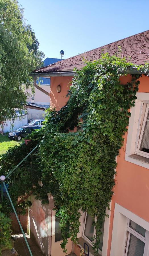 Penzion Libertas Mariánské Lázně Dış mekan fotoğraf