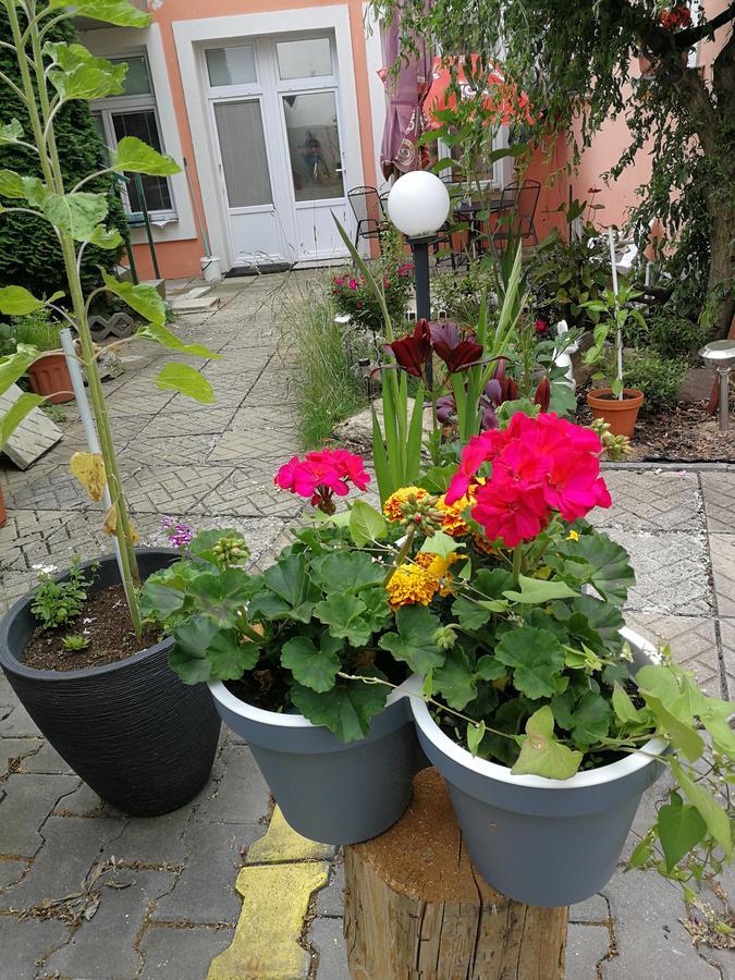 Penzion Libertas Mariánské Lázně Dış mekan fotoğraf